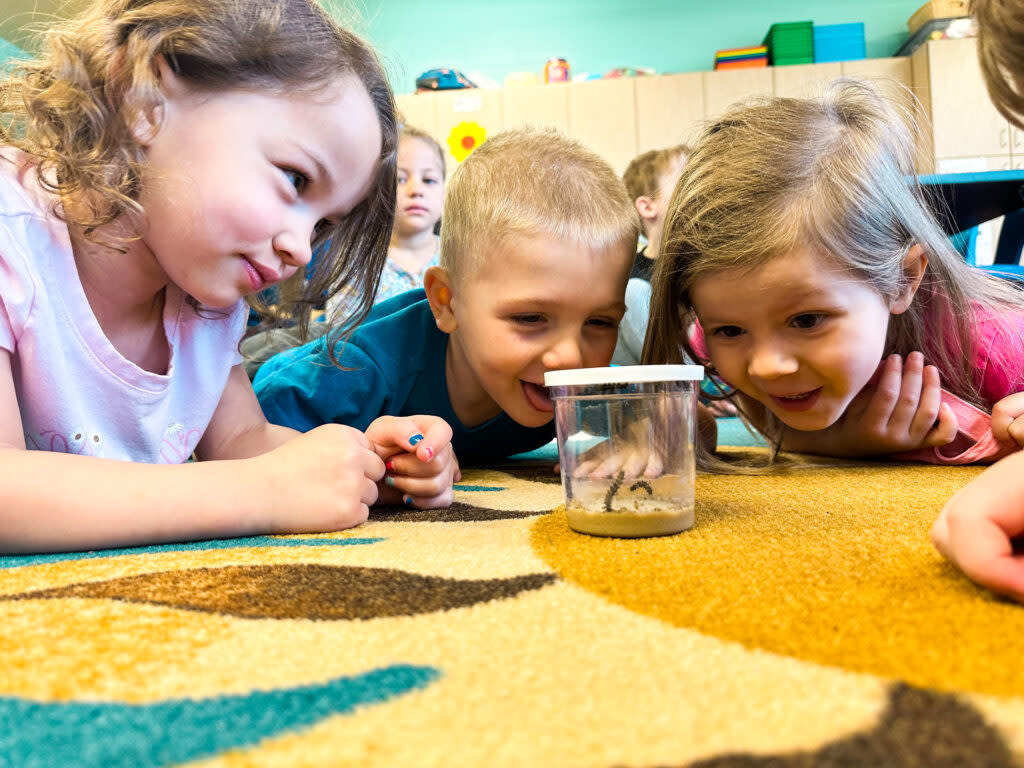 Brookings children watch caterpillars grow at the local Boys and Girls Club. (Courtesy of the Boys and Girls Club of the Northern Plains)
