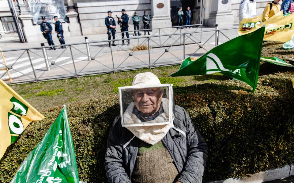 A Spanish beekeeper protests in front of the Ministry of Agriculture in Madrid - Carlos Lujan/Getty Images