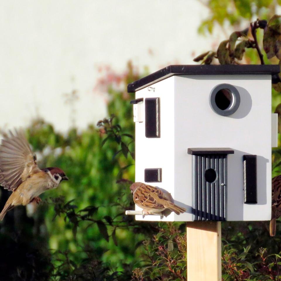 MoMA Design Store Wildlife Garden Birdhouse and Feeder