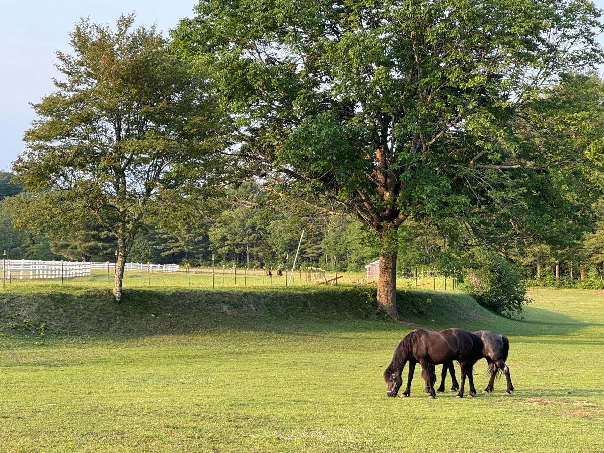 Bay State Racing is proposing a horse racing facility in Gardner: What ...