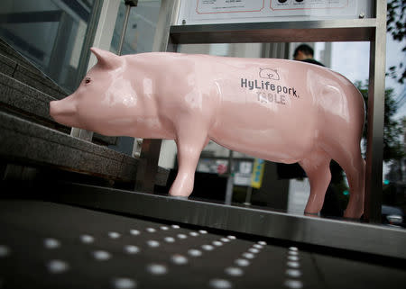 A pig statue is displayed at the entrance of HyLife Pork Table, a pork dish restaurant operated by Canadian pig farmer and pork processor HyLife, at Daikanyama district in Tokyo, Japan October 31, 2016. REUTERS/Issei Kato