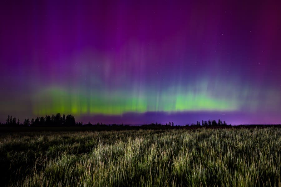 The Northern Lights from Hillsboro on May 11, 2024. (Courtesy: Noah Wilskey)