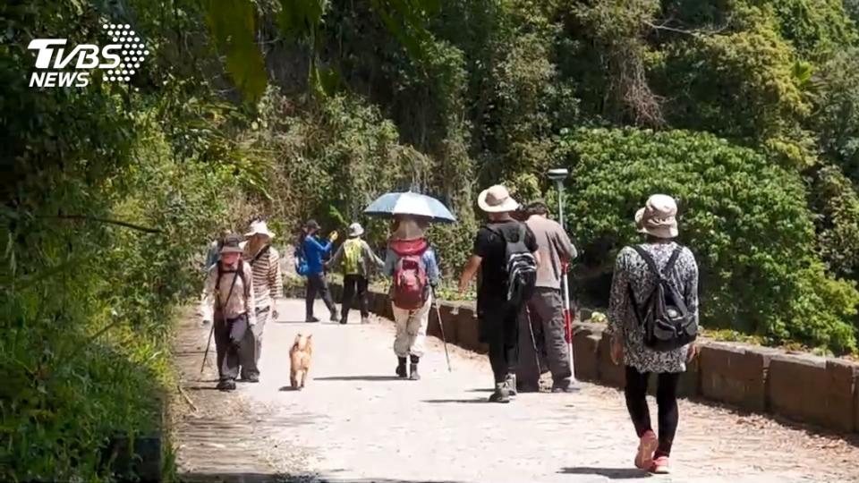 抹茶山成為網美聖地後吸引眾多遊客前往。（示意圖，與當事人無關／TVBS資料畫面）