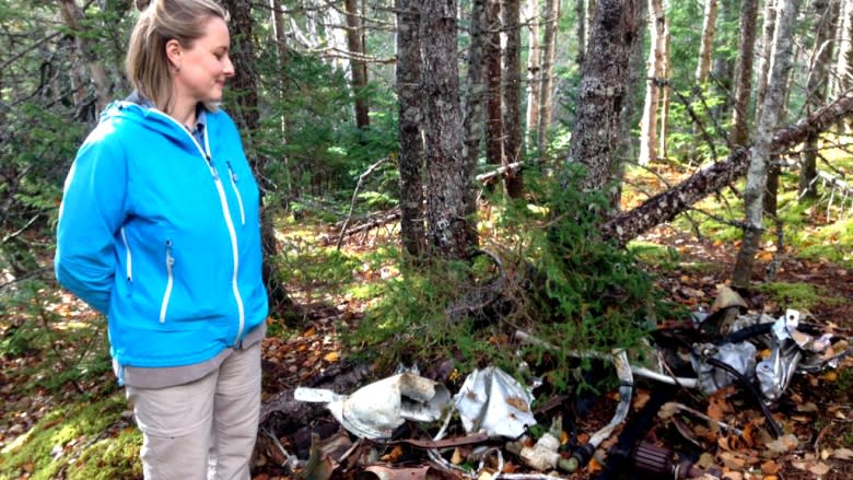 Mapping out Gander's WW II history