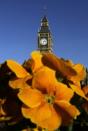 Big Ben is seen on an unseasonably warm winter's day in London. Temperatures topped 19C in Coleshill, Birmingham.