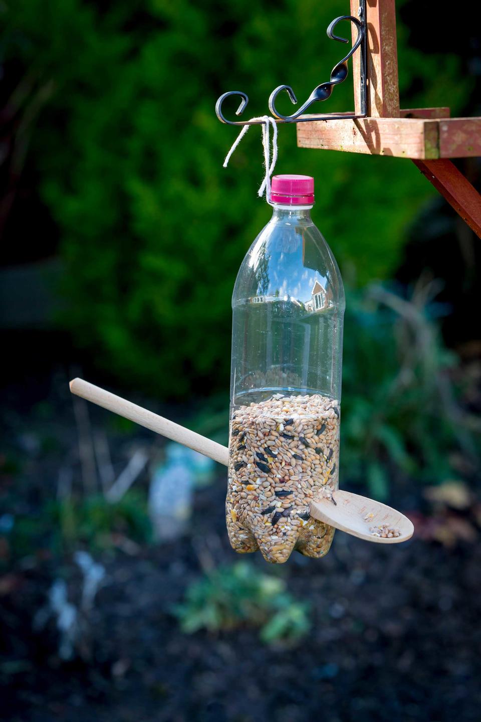 <p> Attracting local feathered friends into your garden will instantly give your space more life and color. Plus, watching them flit around is a real mood-booster, and is fun for kids, too.&#xA0; </p> <p> For your budget backyard ideas, try making your own bird feeders. All you need to do is cut holes in a plastic bottle and insert a wooden spoon. Attach a piece of jute to hang it from a branch or hook, then fill with a mix of bird seed. </p>