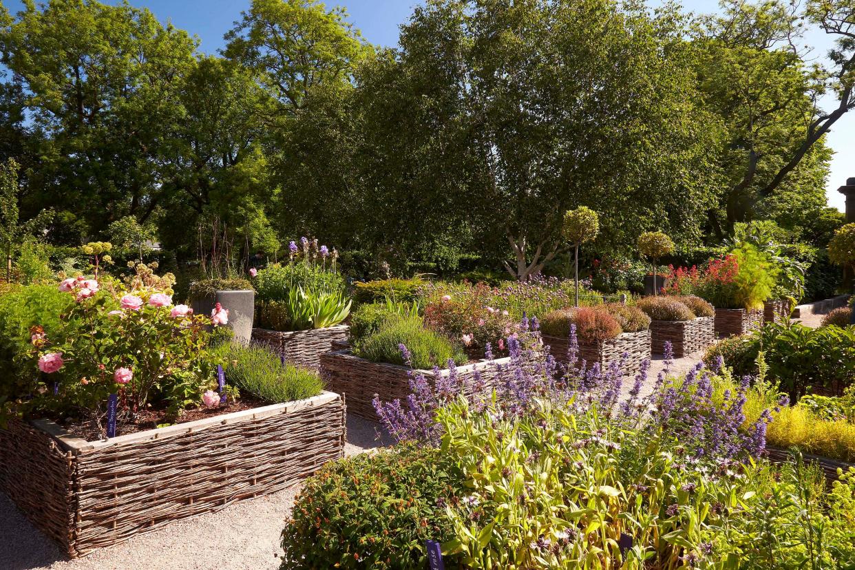 The Physic Garden in the grounds of the Palace of Holyroodhouse opened in 2020 (Royal Collection Trust/His Majesty King Charles III 2024)