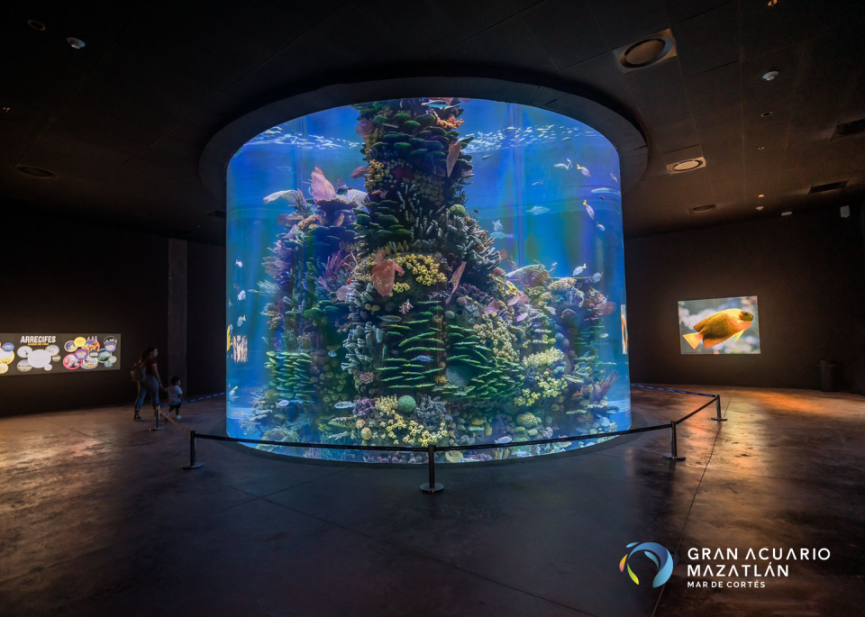 a large aquarium in a room