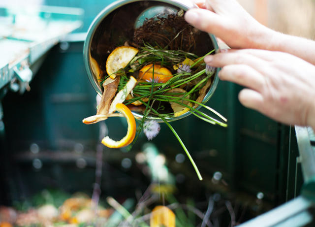 The 12 Best Compost Bins for 2022 - PureWow