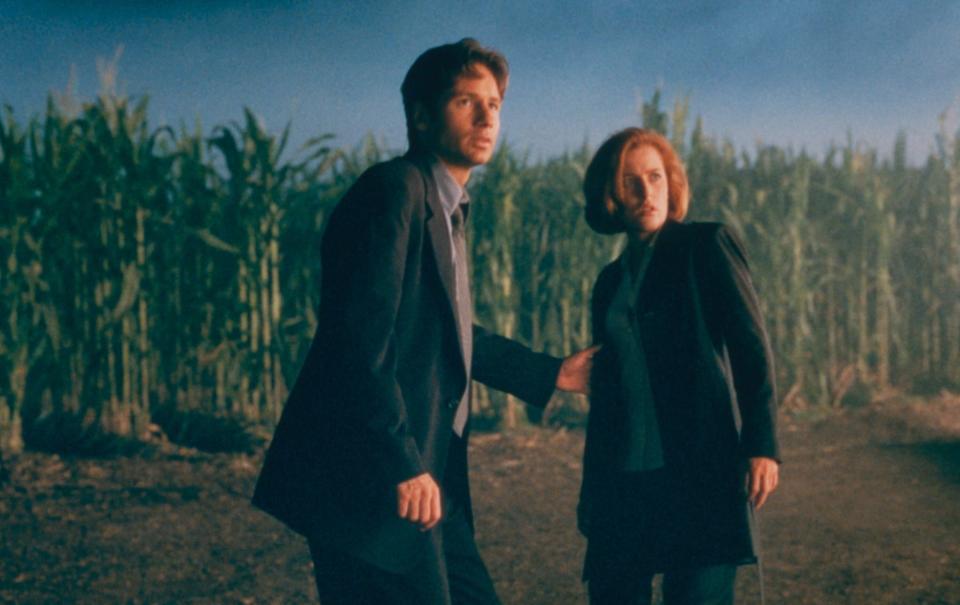 Mulder y Scully de "Los archivos x"  pararse en una zona boscosa