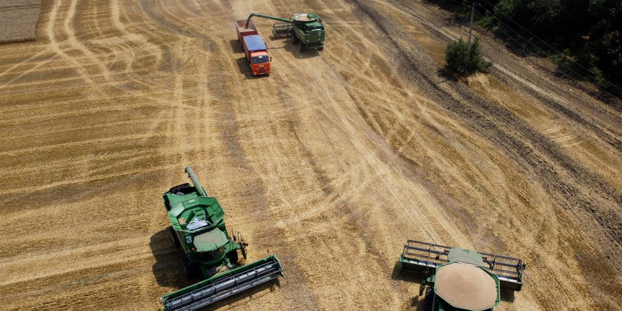 Ukraine Wheat fields