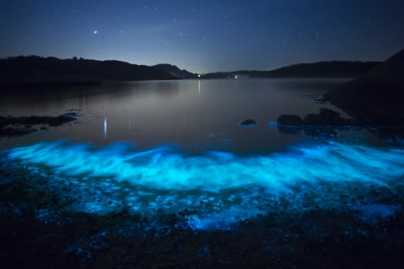 Stunning picture as beach glows bright blue in Sweden