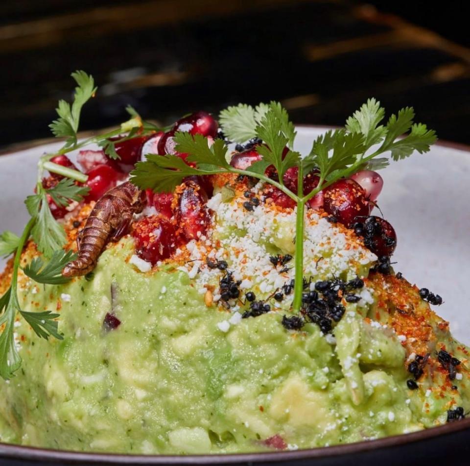 Black Ant serves black ant guacamole, a combination of avocado, onion, cilantro, serrano, pomegranate seeds, pumpkin seeds and black ant salt.