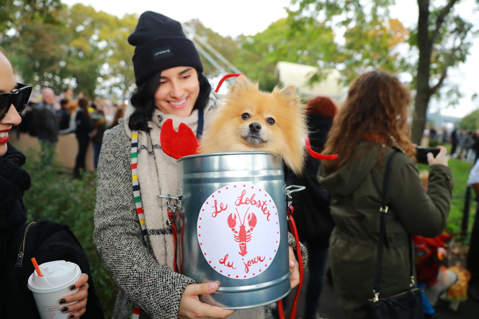 NYC pups in cute and creative costumes for annual Halloween Dog Parade