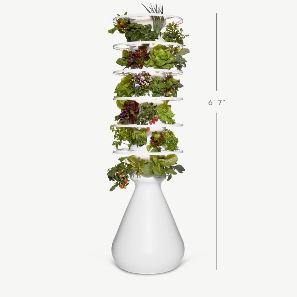 Lettuce Grow, high-ticket gift guide