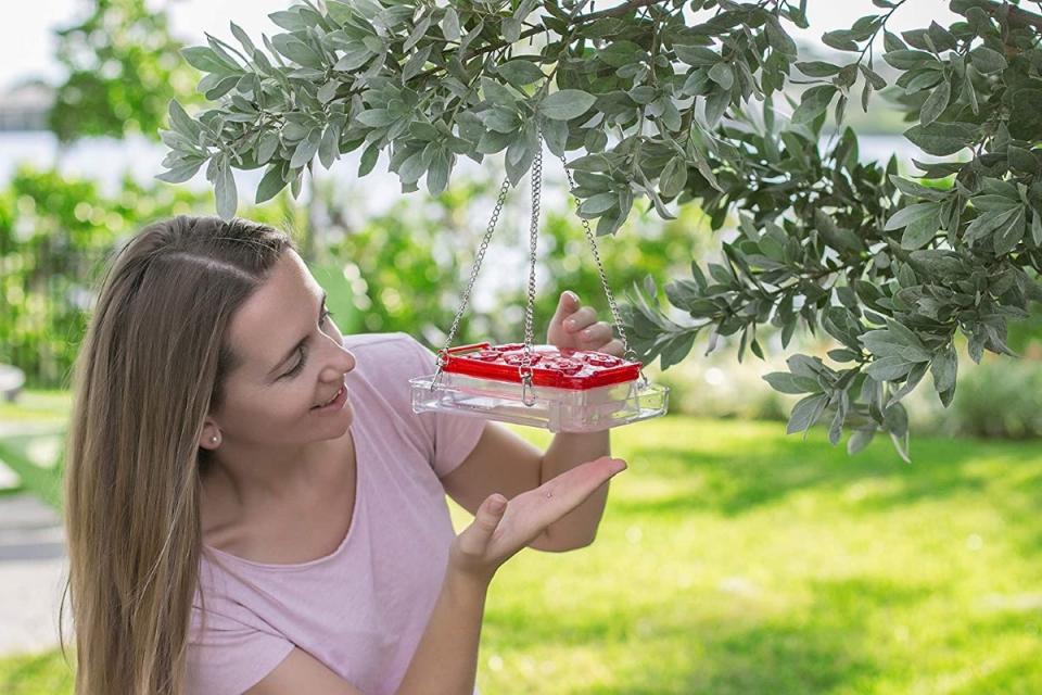 Woman examining a bird tray feeder hanging from a tree branch