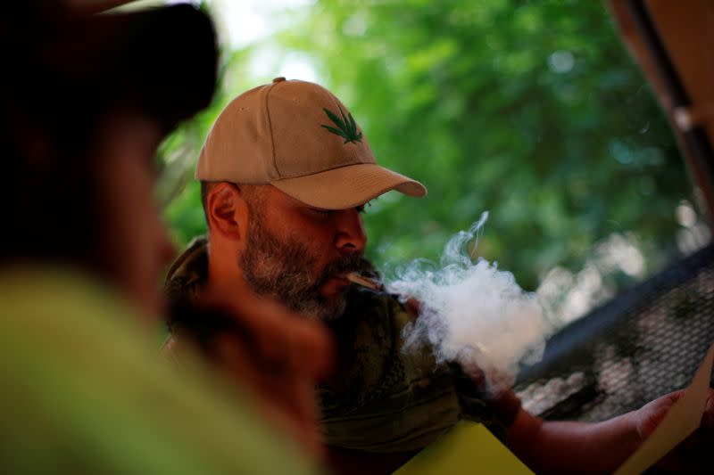 Cannabis garden next to Mexico's Senate building in call for legalization