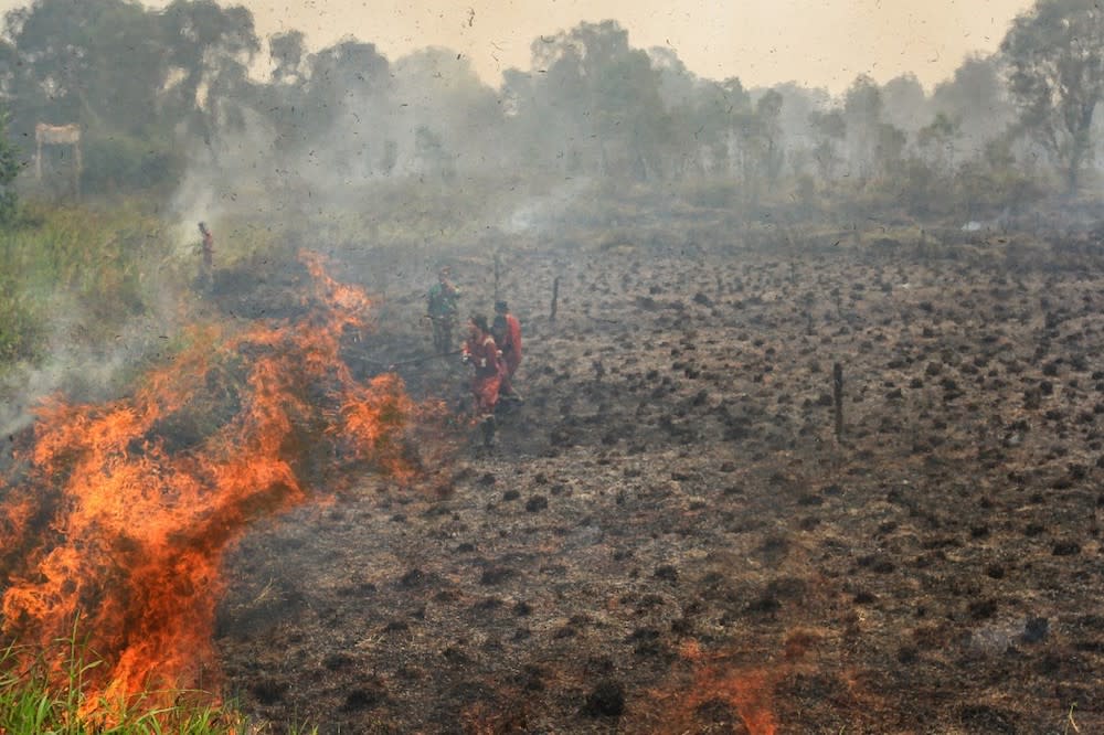 Indonesian firefighters battle a blaze at a peatland forest in Ogan Ilir, South Sumatra September 20, 2019. — AFP pic