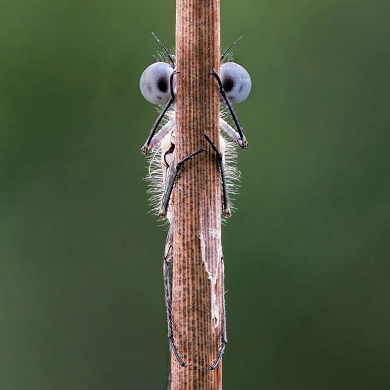 捉迷藏（Hide and Seek），Tim Hearn攝