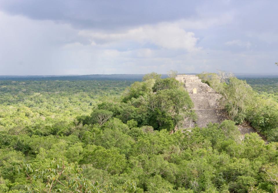 Reserva de la Biósfera de Calakmul