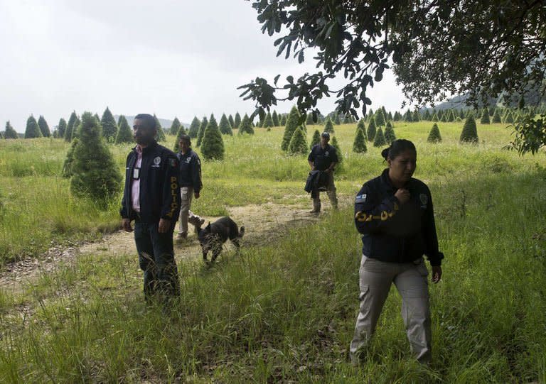 Mexican police officers look for evidence in the surroundings of a park in the municipality of Tlalmanalco, some 30 km southeast of Mexico City on August 22, 2013, where at least 7 bodies were discovered in a mass grave