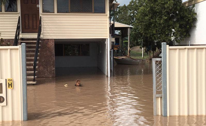 IN PICTURES: Homes destroyed as Rockhampton prepares for 'two-year' cleanup