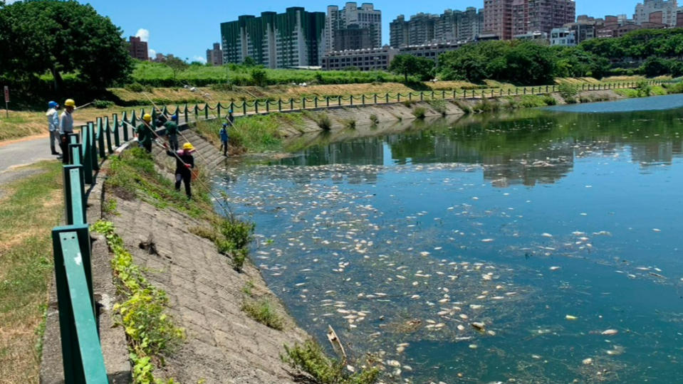 高雄後勁溪驚見大量死魚，環保局前往進行水質檢測，發現應是天氣炎熱，溶氧偏低，導致魚類死亡，目前水利局已將300多公斤魚屍撈除。高市府水利局提供