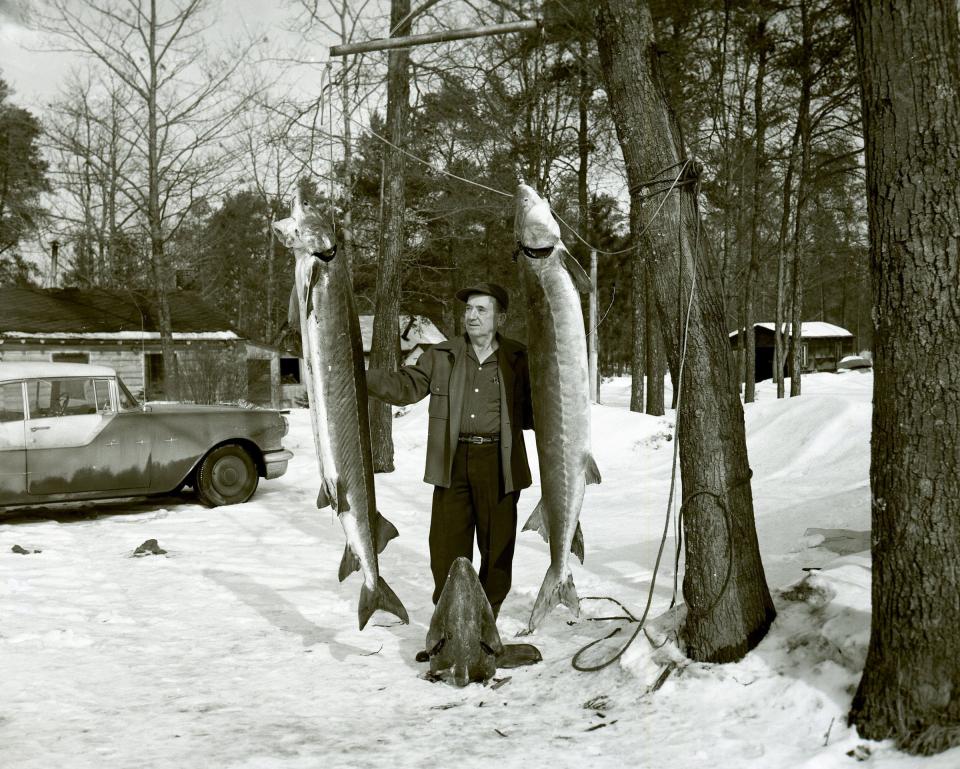 A fisherman in Indian River shows off his sturgeon catch in 1961.