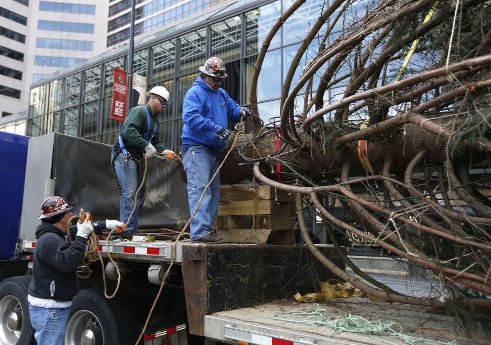 Employees from Enerfab, part of HBH Holdings, prepare to lift into place a 26-year-old, 56-foot Norway spruce on Fountain Square in 2014.