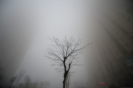 FILE PHOTO: Buildings are seen in heavy smog during a polluted day in Jinan, Shandong province, China, December 20, 2016. REUTERS/Stringer/File Photo ATTENTION EDITORS - THIS PICTURE WAS PROVIDED BY A THIRD PARTY. EDITORIAL USE ONLY. CHINA OUT.