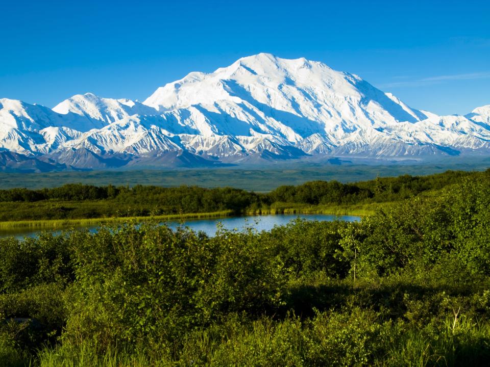A view of Mount Denali in Alaska, with snowcapped peaks and sides, with a lake and trees in front