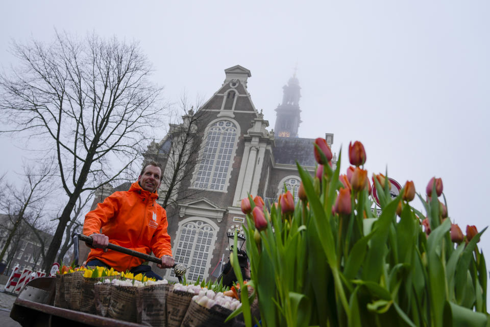 On the day stores in Amsterdam and across the Netherlands cautiously re-opened after weeks of coronavirus lockdown, the Dutch capital's mood was further lightened by dashes of color in the form of thousands of free bunches of tulips handed out by growers in Amsterdam, Netherlands, Saturday, Jan. 15, 2022. (AP Photo/Peter Dejong)