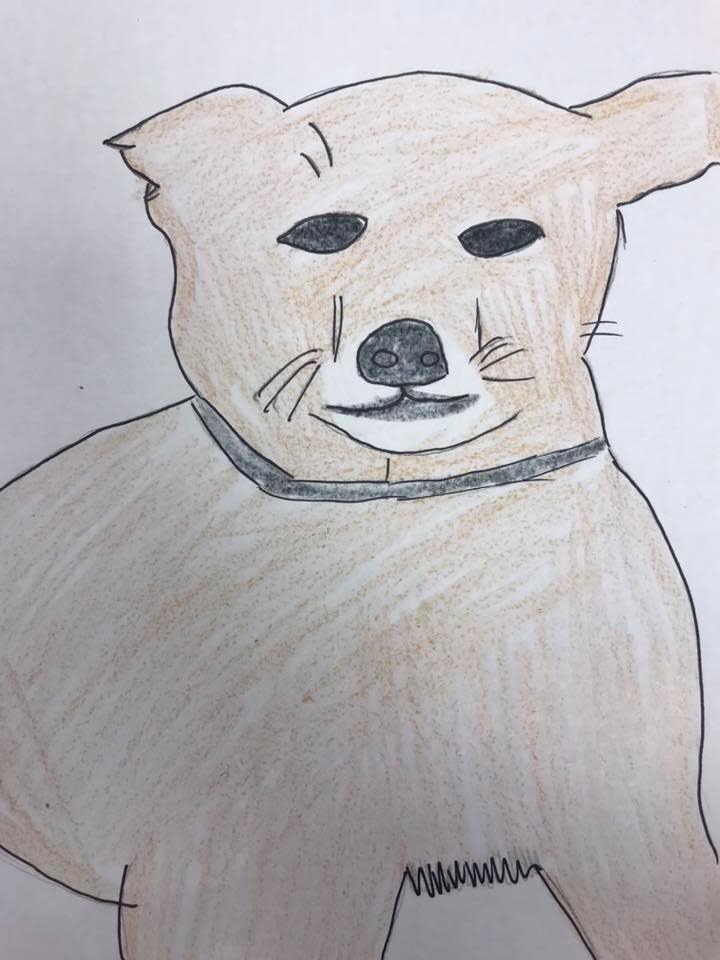 Wisconsin Humane Society drawing