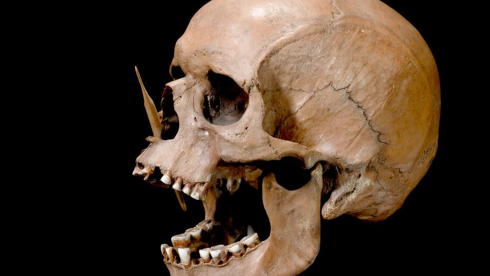 Researchers sequenced DNA from human remains in museum collections across Europe.  - The Danish National Museum