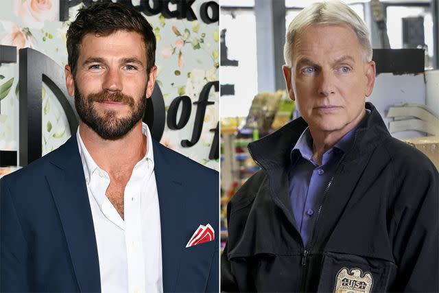 <p>Dave Kotinsky/Getty Images; Bill Inoshita/CBS via Getty Images</p> Austin Stowell; Mark Harmon on 'NCIS'