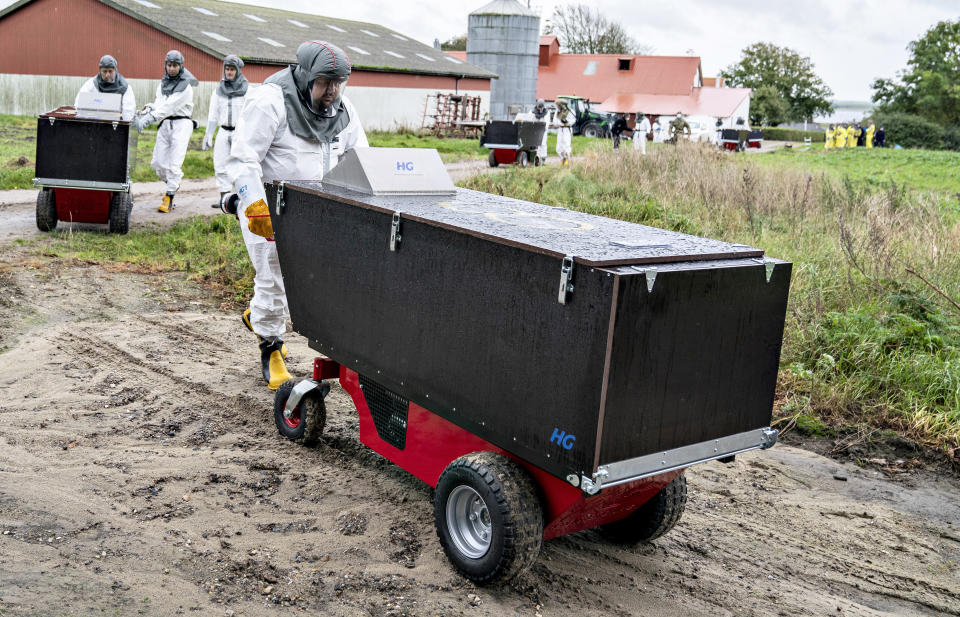 Employees from the Danish Veterinary and Food Administration and the Danish Emergency Management Agency transport contatiner at a mink farm, in Gjoel, Denmark, Thursday, Oct. 8, 2020. The culling of at least 2.5 million minks in northern Denmark has started, authorities said Monday after the coronavirus has been reported in at least 63 farms. The Danish Veterinary and Food Administration is handling the culling of the infected animals while breeders who have non-infected animals on a farm within 8 kilometers (5 miles) from an infected farm must put them to sleep themselves. (Henning Bagger Ritzau Scanpix via AP)