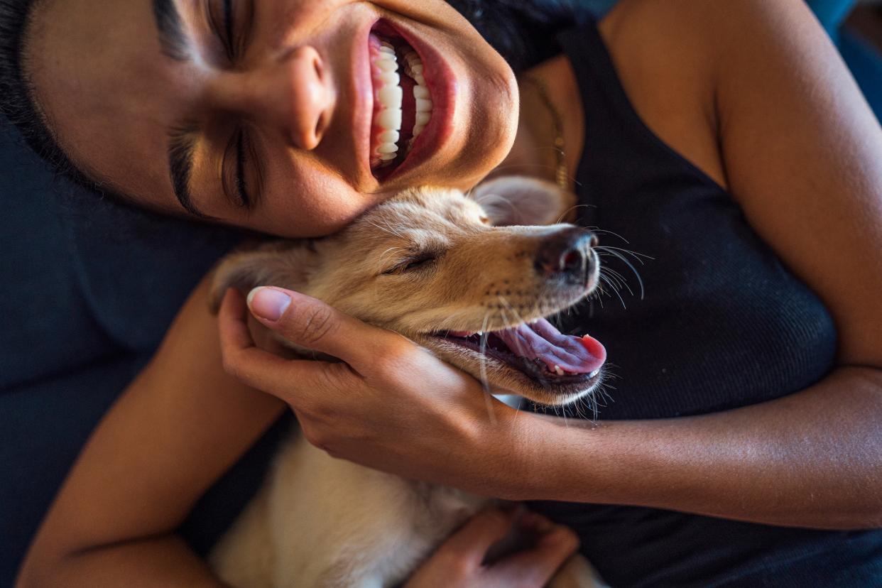 https://www.gettyimages.co.uk/detail/photo/beautiful-young-woman-playing-with-a-puppy-royalty-free-image/1302836174