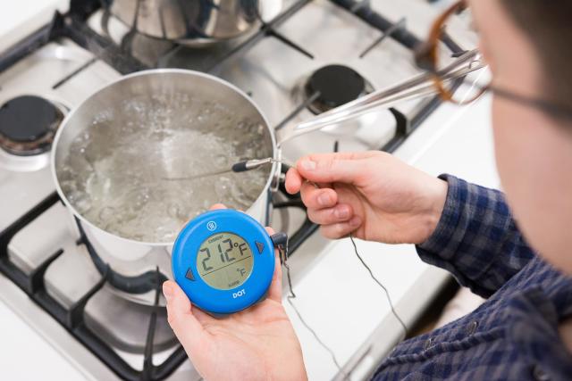 Polder THM-362-90 Digital In-Oven Probe Thermometer/Timer, White