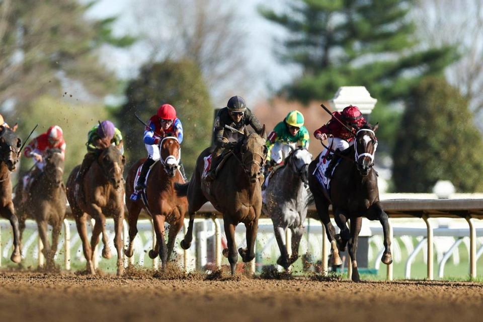 Sierra Leone, with Tyler Gaffalione up, wins the 100th edition of the Toyota Blue Grass Stakes, a 200-point Kentucky Derby qualifier on the second day of the Keeneland Spring Meet. Sierra Leone will be one of the favorites in the 2024 Kentucky Derby. Silas Walker/swalker@herald-leader.com