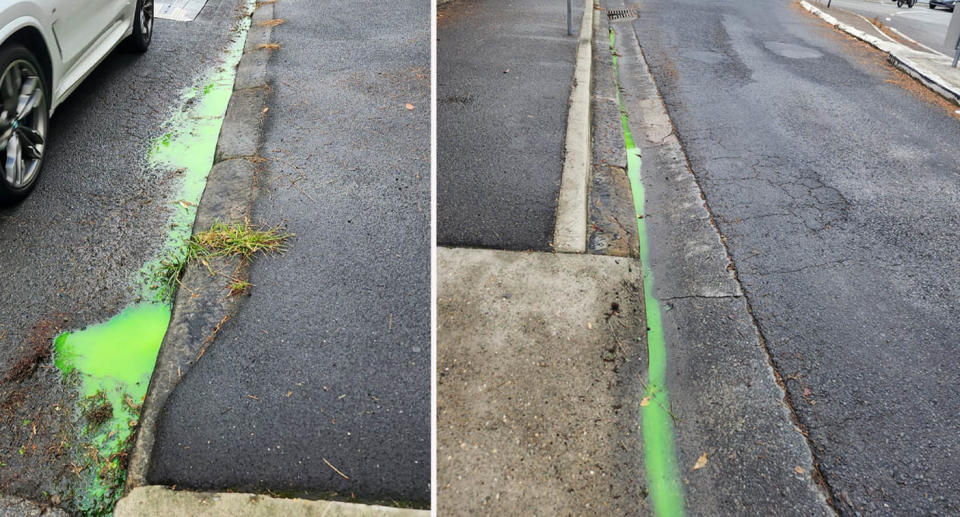 Bright green stormwater in gutter in Commonwealth Parade in Manly, Sydney. 