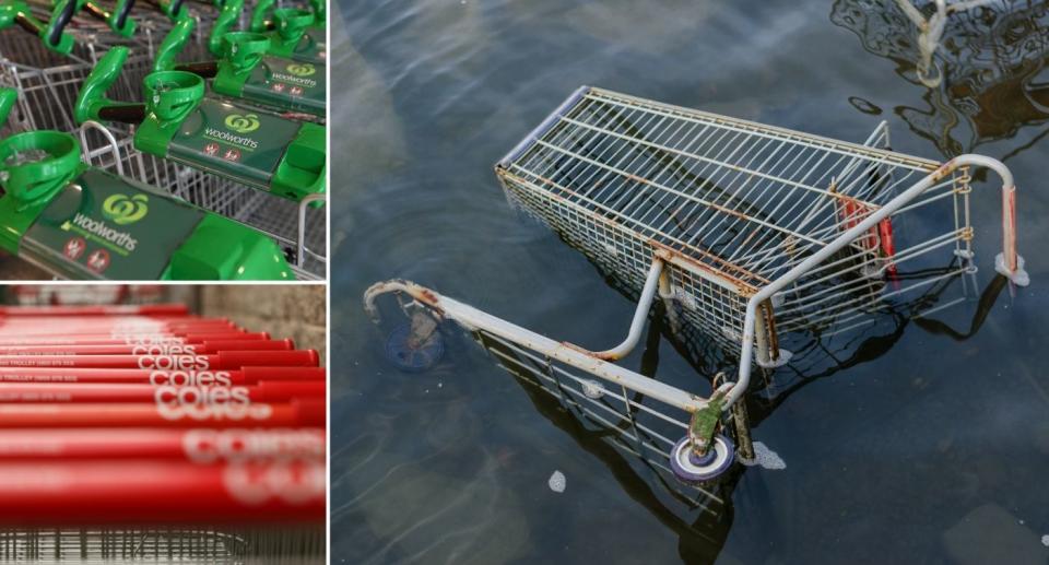 Coles and Woolworths trolleys beside floating shopping trolley in waterway.