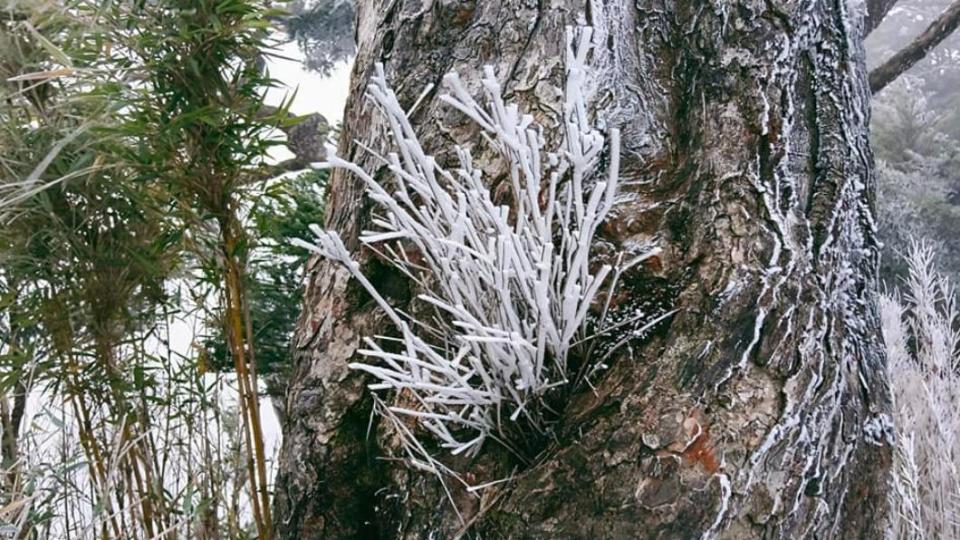 吳德發將美景拍下PO網。（圖／翻攝自屏東林區管理處北大武山資訊站臉書）