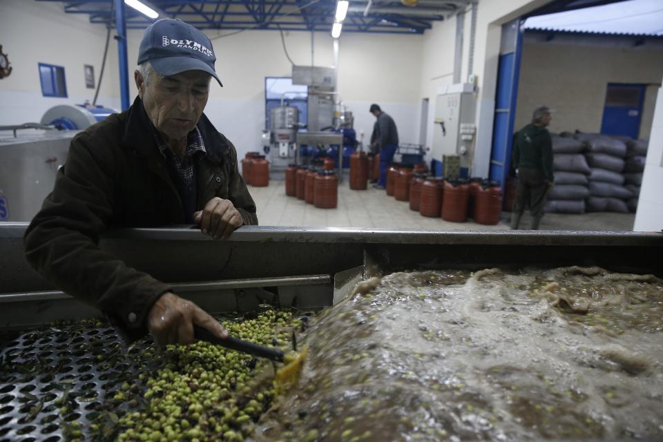 Konstatinos Vasilopoulos operates a machine that washes olives at his family-owned olive oil business in Velanidi village, 320 kilometers (200 miles) west of Athens, Greece on Saturday, Nov. 30, 2013. Greece is the world's third largest producer of olive oil and its leading consumer per capita, with a millennia-old tradition that still serves as a strong link between city dwellers and their rural ancestry. (AP Photo/Petros Giannakouris)