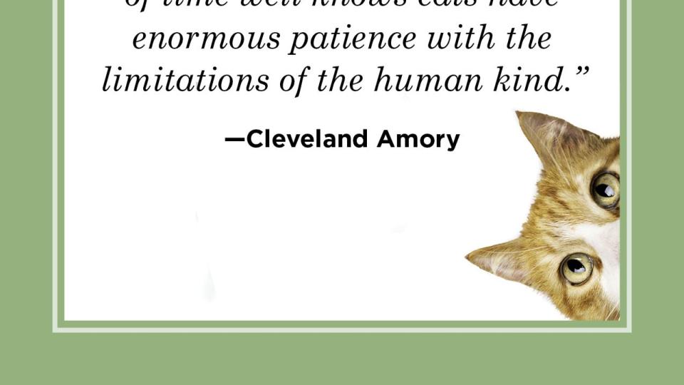 cat quote by cleveland amory