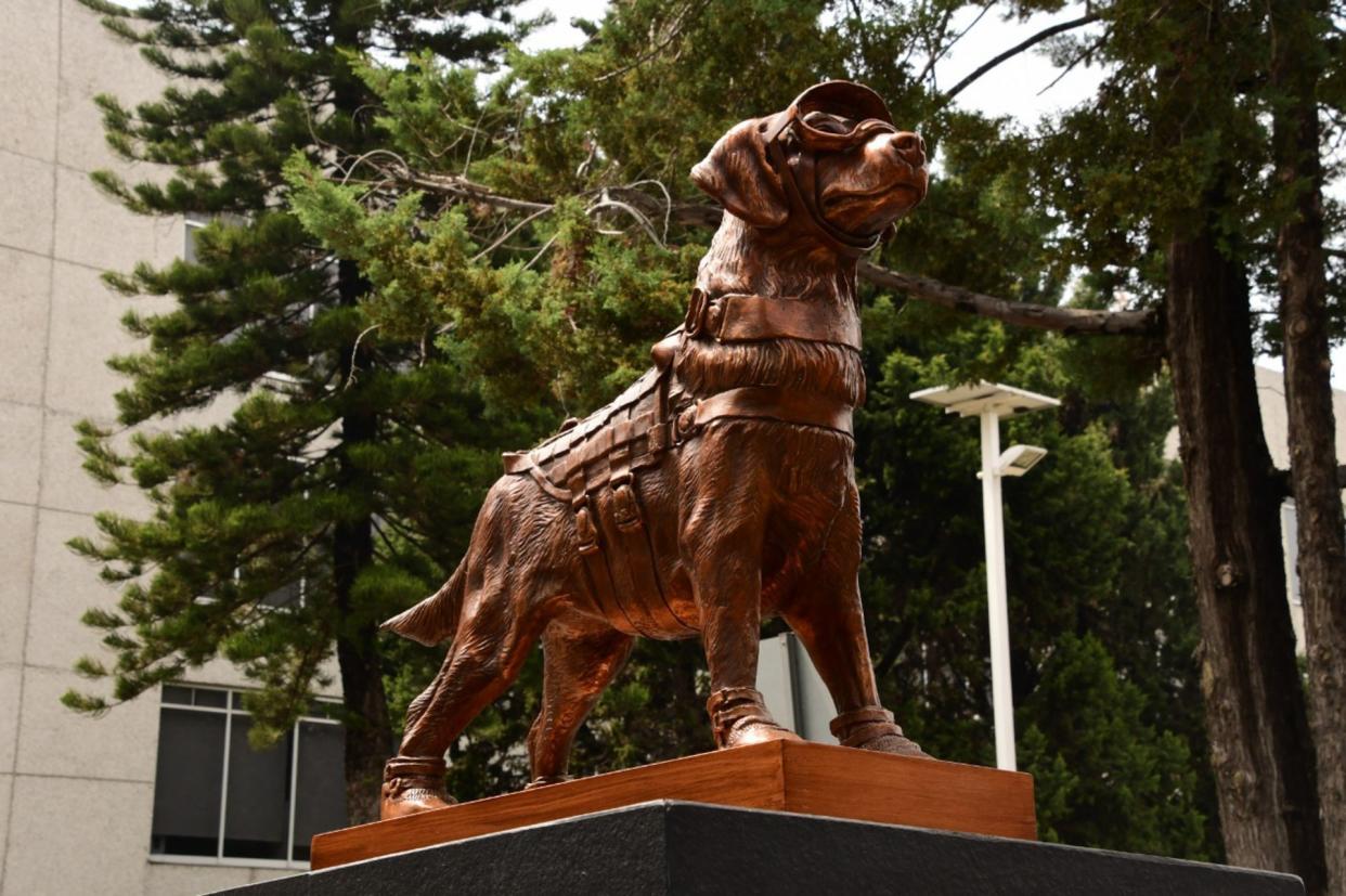 Estatua de 'Frida' en la Secretaría de Marina. | FOTO: SECRETARÍA DE MARINA/CUARTOSCURO.COM