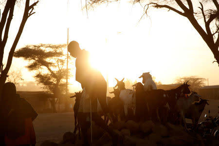 FILE PHOTO: A Turkana man stands next to goats as he heads to a cattle market in Lodwar, in Turkana County, Kenya February 9, 2018. REUTERS/Baz Ratner