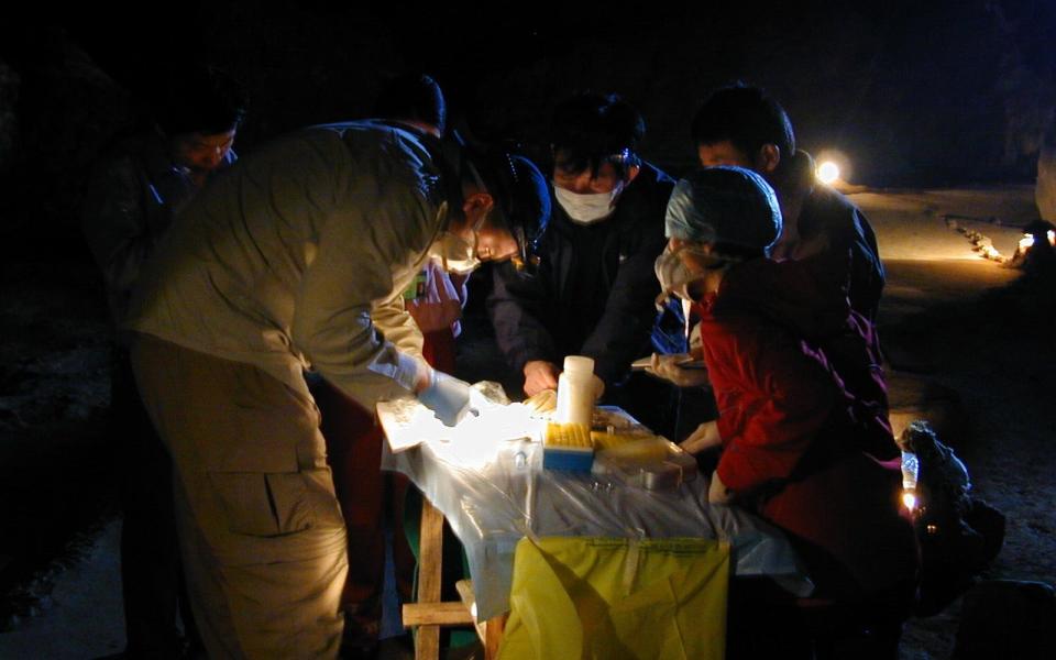 Shi Zhengli's research team collecting samples in the field at night