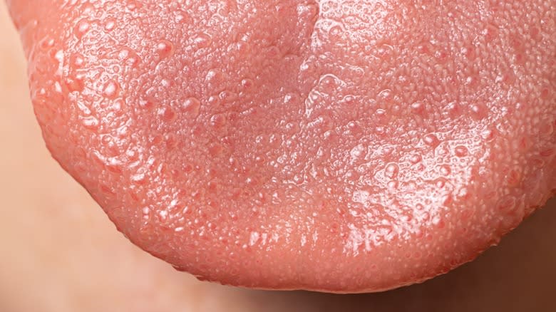 Closeup of the tongue tip