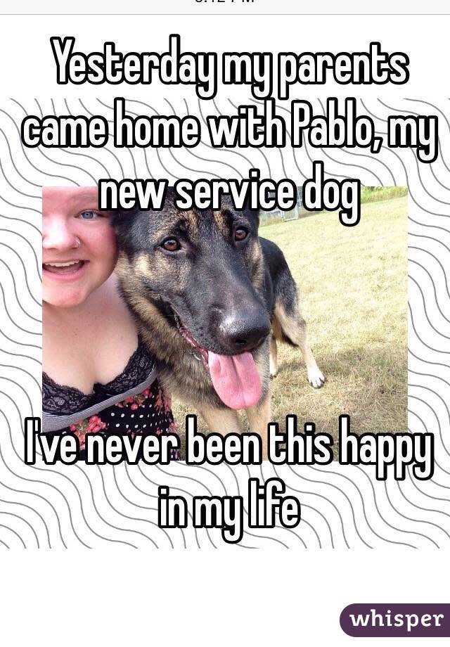 Yesterday my parents came home with Pablo, my new service dog I've never been this happy in my life 