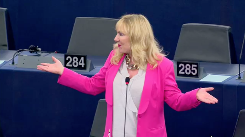 Pro-Brexit MEP Janice Atkinson during the row in the European Parliament